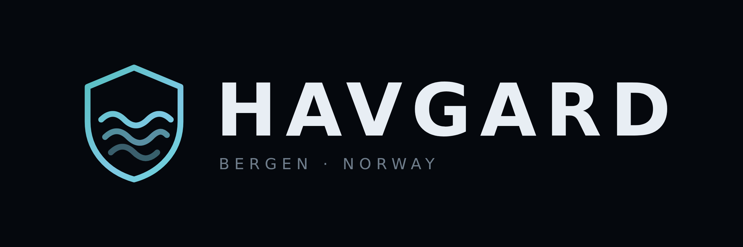 Havgard wordmark on dark