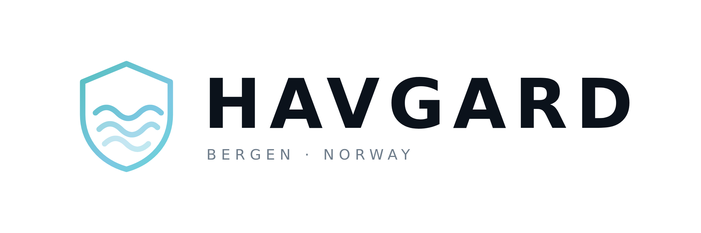 Havgard wordmark on light